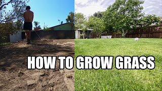 HOW TO GROW GRASS