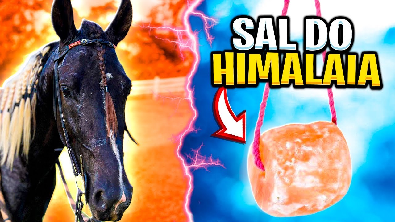 Melhor SAL MINERAL para CAVALO