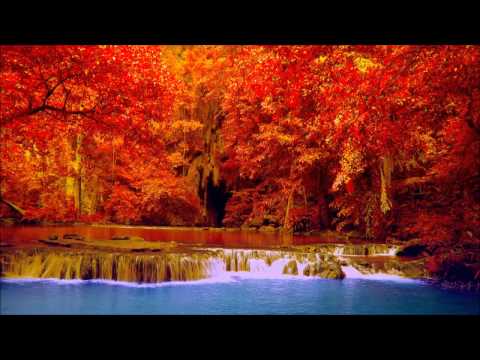 Bruni Bergeron - Requiem