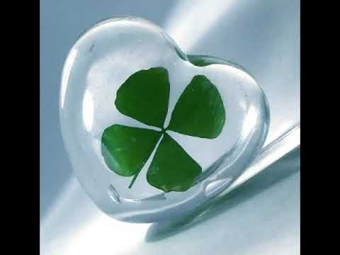 Phillsta - Meine Mädelz