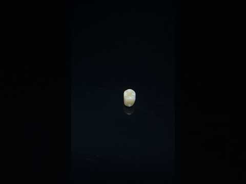 YouTube 썸네일
