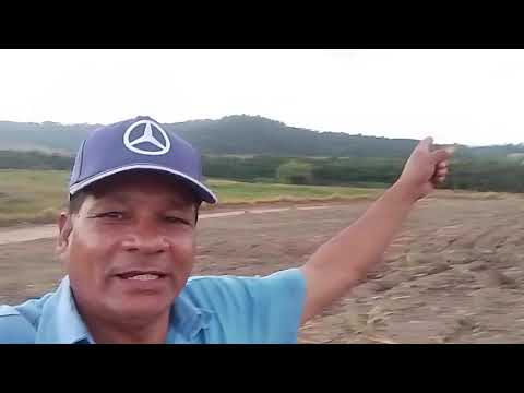 CANAL CICERO PRANCHETA DIRETO DÁ FAZENDA SANTA LUZIA DO MUNDAL SATUBA AL 04 12 25 