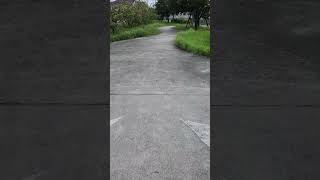 実写版一反もめん