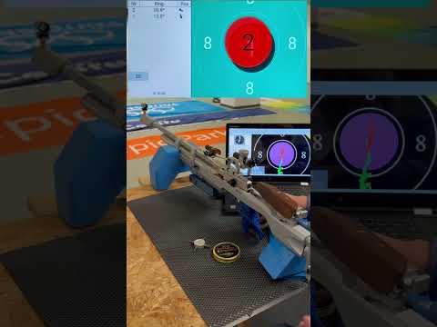 Auswahl Luftgewehrmunition