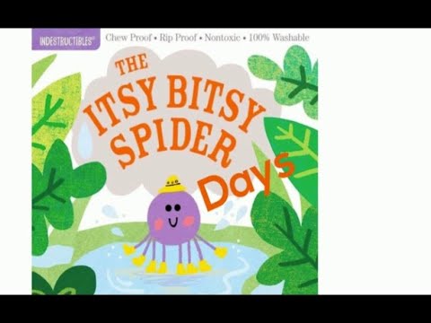 THE ITSY BITSY SPIDER DAYS