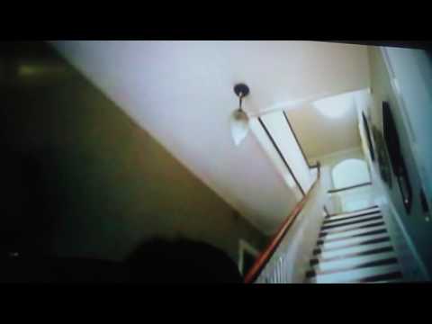 G-Force escape scene