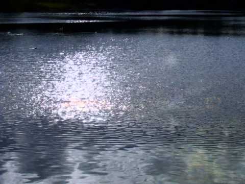 Brigitte Fassbaender: Liederkreis, Op.39 by Schumann