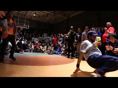 5 Crew Dynasty vs Domestic Apes