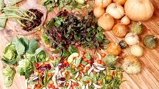 আমার শখের বাগানের প্রায় শেষের দিকের সবজির আপডেট!! আলহামদুলিল্লাহ মাশাআল্লাহ 🥰