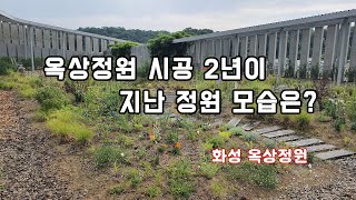 시공 후 2년이 지난 옥상정원 구경하기~