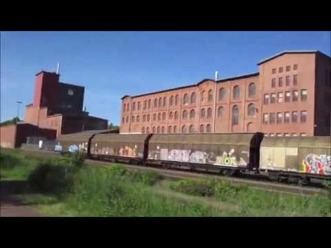 Wanderung in Bad Salzdetfurth bis oben auf dem Aussichtsturm Kabus Turm