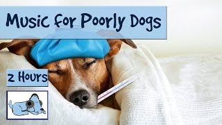 Music for Sick Dogs. If your Dog is ill - Try this Music to Relax them! 🐶 #POORLY01