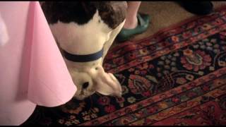 Trailer Preview Image