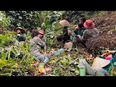 Hong Hires Workers to Clear the Field | A Hard Day of Labor