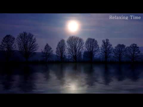 Bird singing nightingale 10 Hours