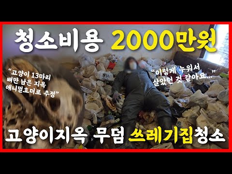 아이콘