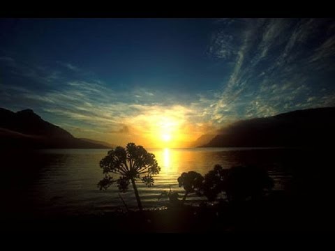 ☆ Midnight Summer Dream - Dreamers inc. feat: Karolina(R) ☆