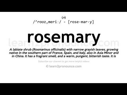 Pronunciation of Rosemary | Definition of Rosemary