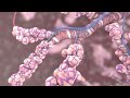 How The Oxygen You Breathe Gets Delivered To The Cells Of Your Body