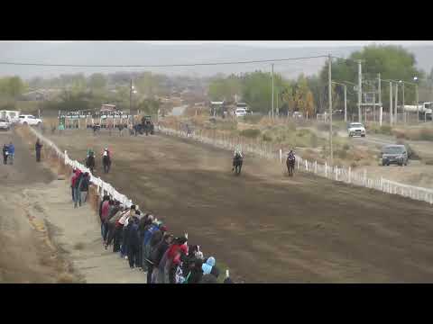 PRESIDENTE  "Club Hipico Añelo" - Añelo - 21-05-2023