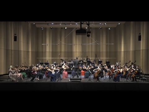Ludwig van Beethoven - Sinfonie Nr. 3 ⎜ PreCollege Orchestra Zürich ⎜ Dirigent: Philip A. Draganov