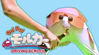 【PUI PUI モルカー DRIVING SCHOOL】モルカー２期１話を全身でやってみた