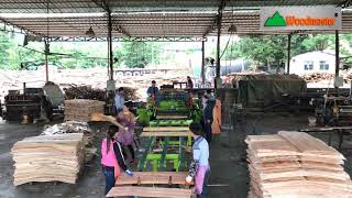 Thiết bị nhhà máy sản xuất ván ép plywood nội thất