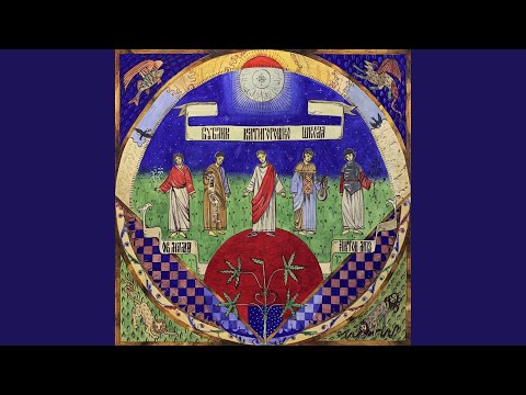 волейбол (feat. $ID VICIOU$ 666)