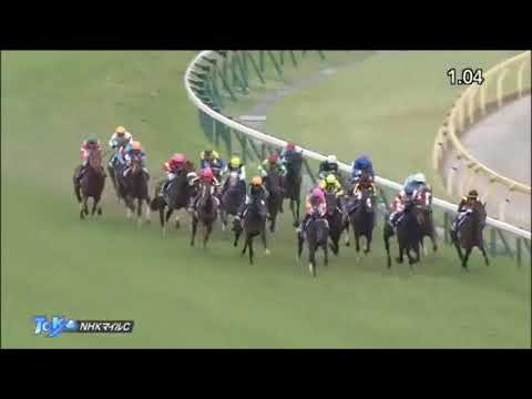 NHKマイルカップ2018