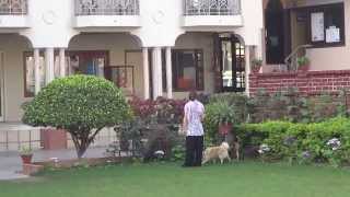 preview picture of video 'Aruna & Hari Sharma walking in Surya Hotel Garden, Varanasi Cantonment Area, Mar 11, 2014'