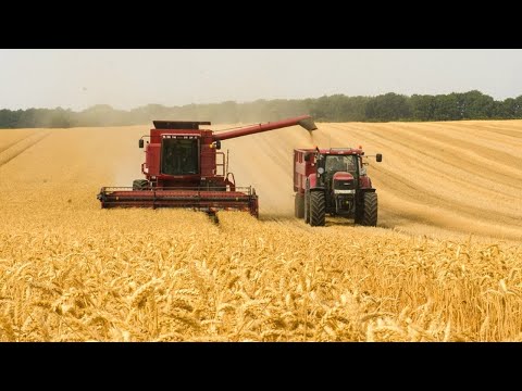 This Is How Australian Farmers Produce Millions Of Tons Of Wheat