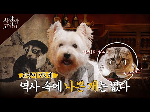 강아지 이야기 한번 들어볼래? ㅣ사랑방 고양이 2부 (SUB)