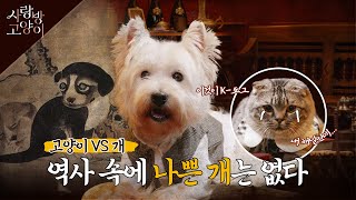 강아지 이야기 한번 들어볼래? ㅣ사랑방 고양이 2부 (SUB)