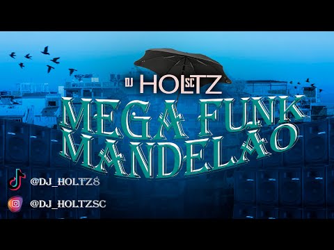 MEGA MANDELÃO - DJ HOLTZ