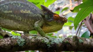 Journal One - Katahdin - Feat. Ruth by Benoit Pioulard