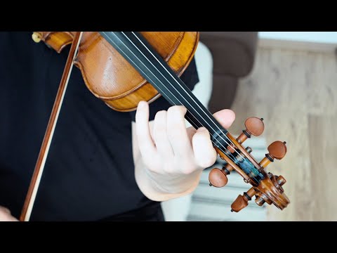 MELODIE LĂUTĂREASCĂ VECHE feat.@BogdanVasileTambal