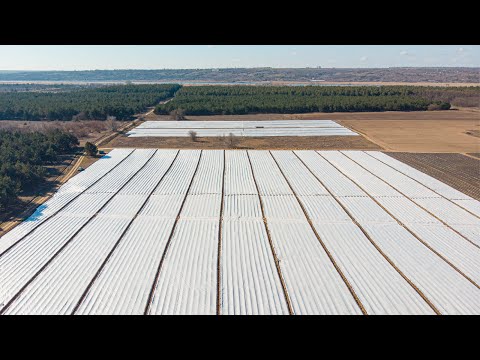 Агроволокно 50 плотность 3,20*5 м. черное для мульчирования фасованное "Agreen". - фото 1 - id-p2106270386