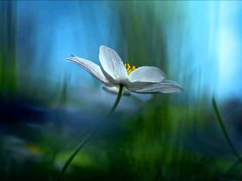 DELROY WILSON - LETTER TO MUMMY AND DADDY - with lyrics