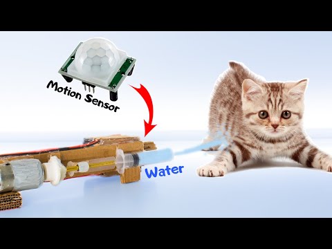 How to make a Cat Repellent with a Motion Sensor