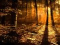 Cradle of forest - Cuna del bosque (Ing+Esp ...