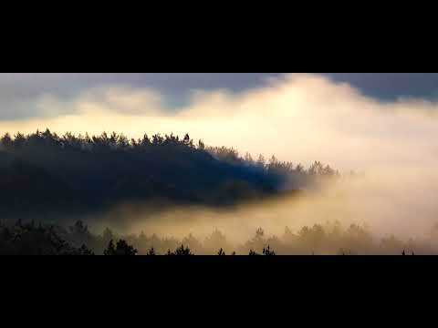 Il Lago Passante nella Piccola Sila: Un’oasi di pace e natura. #nature #sila #italy