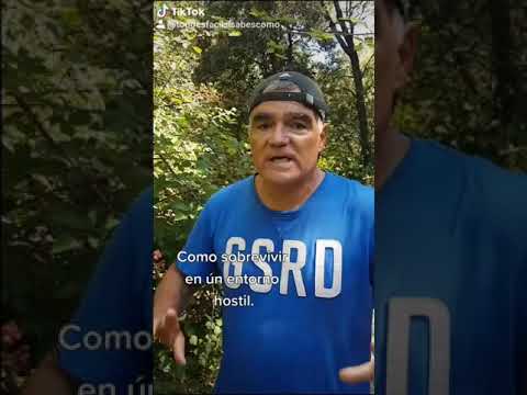 Como sobrevivir en un entorno hostíl