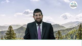 גילוים מרתקים על רות וערפה | מגילת רות | פרק א # 3 | הרב אליהו עמר (הרב אליהו עמר) - התמונה מוצגת ישירות מתוך אתר האינטרנט יוטיוב. זכויות היוצרים בתמונה שייכות ליוצרה. קישור קרדיט למקור התוכן נמצא בתוך דף הסרטון