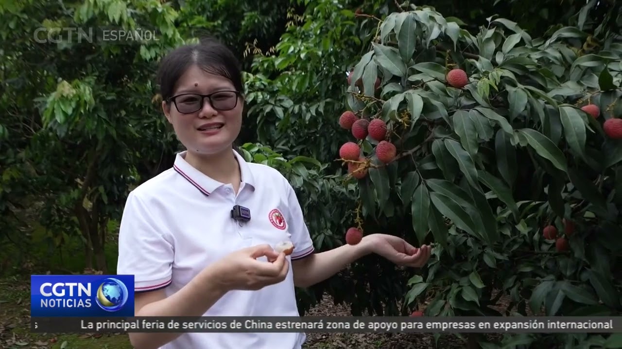 Guangzhou alberga el banco de genes de lichi más grande del mundo