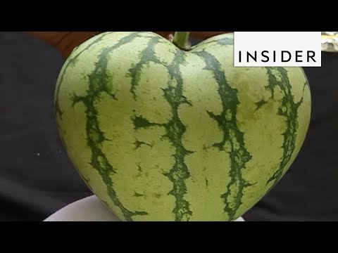 How To Grow Fruit Into Fun Shapes 15 Minute Fun