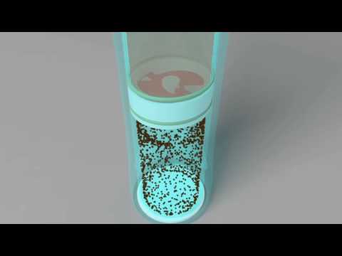 Portable French Press Bottle-Blue Coast Coffee