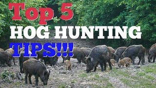 Top 5 Hog Hunting Tips! | Guaranteed to bring in the HOGS!!