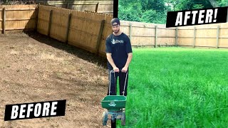 How to Grow a Lawn From Scratch (DIY Guide + Lessons Learned)