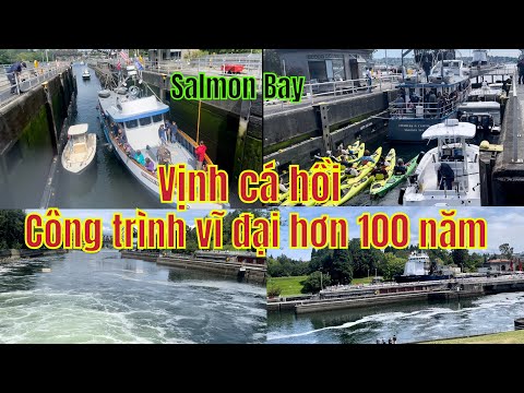 100 năm tại tiểu bang Estado de Washington/#ngườiviệtởMỹ