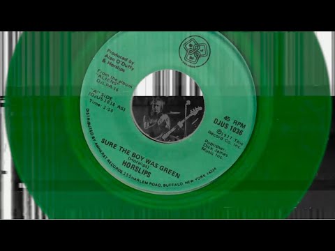 Horslips - Sure the Boy was Green (live 1980 `Belfast Gigs` outtake)